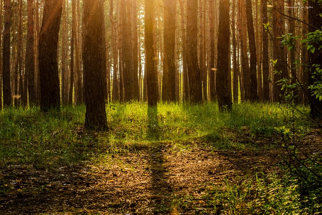 Co najbardziej cieszy rodziców?