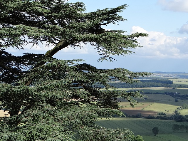 Jak obliczyć wartość bilansowa przedsiębiorstwa?