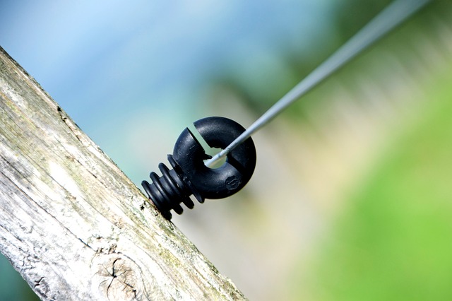 Ile Polaków studiuję za granicą?