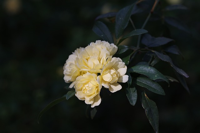 Ile jest banków w Polsce KNF?