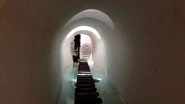 Jak sprawdzić ile ma się długów za darmo?