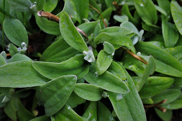 Jak pogodzić zespół?